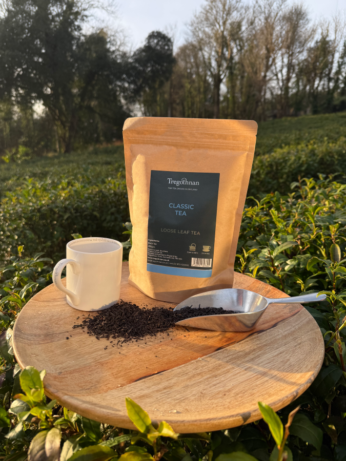 Tregnothnan Tea Estate