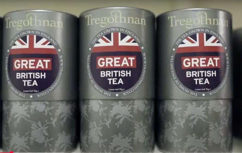 first tea grown in UK