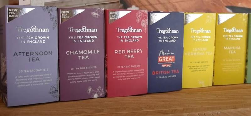 Tregnothnan Tea Estate