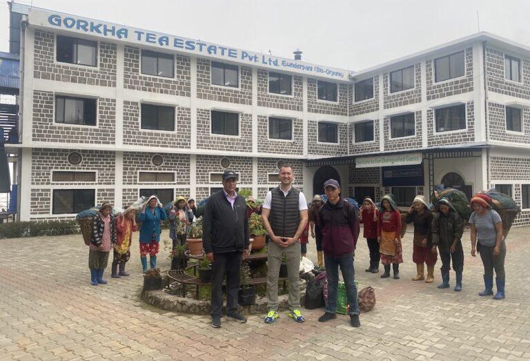 gorkha tea estate