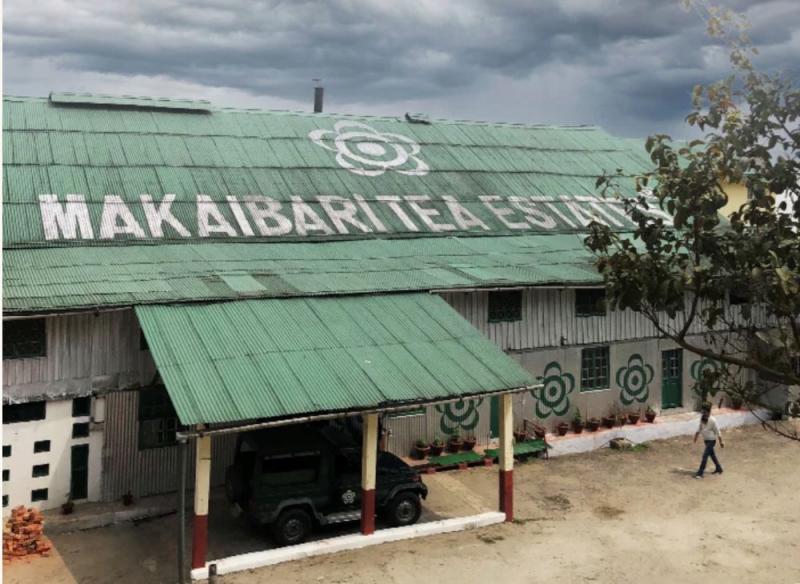 makaibari tea estates