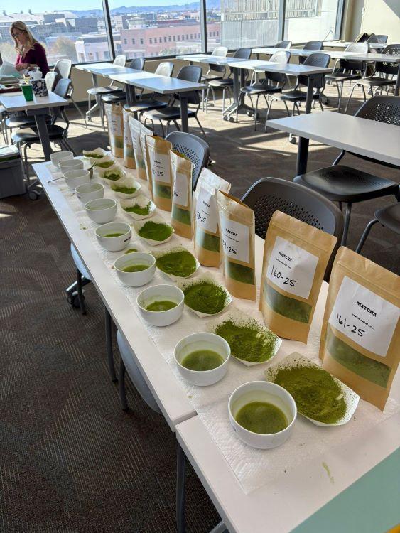 GTC judging