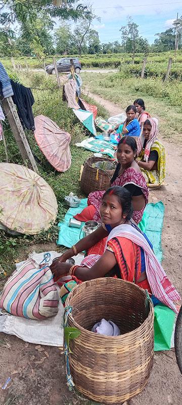 tea workers india