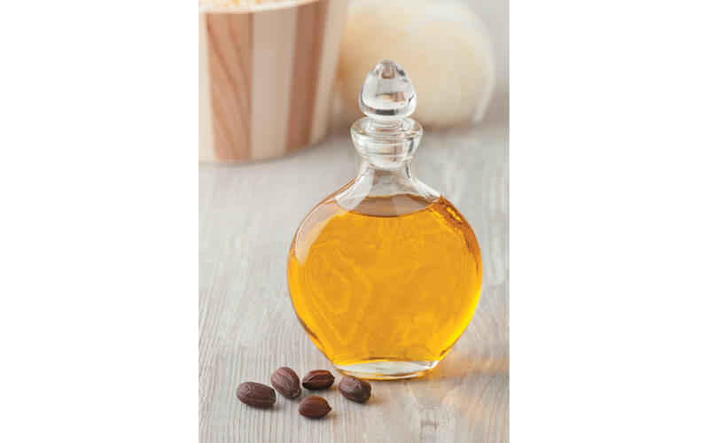 Jojoba seed