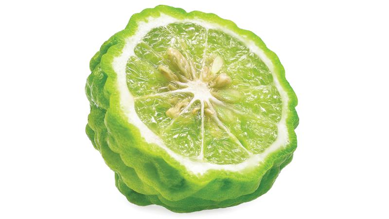 Bergamot Orange