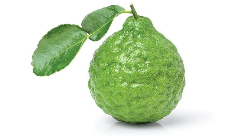 Kaffir Lime