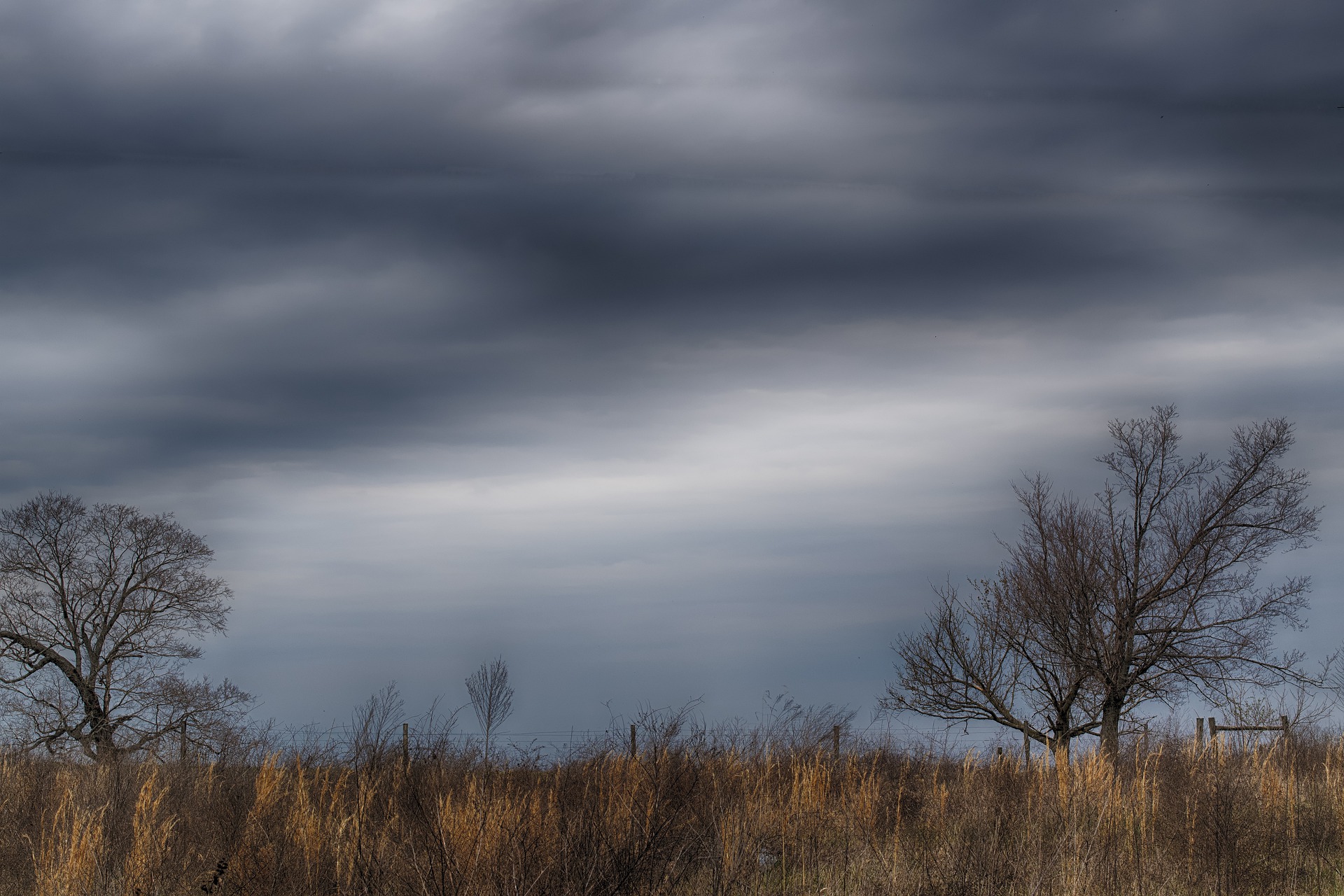 rural America 