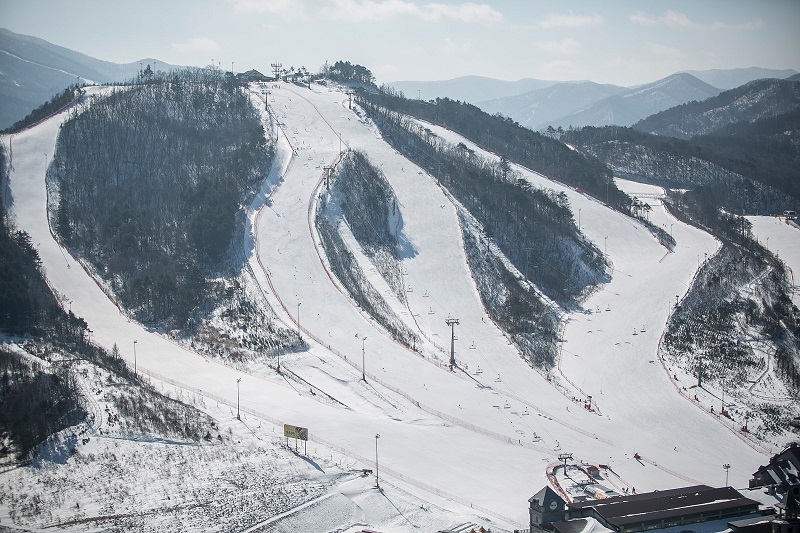 Winter Olympics Olympicsorg