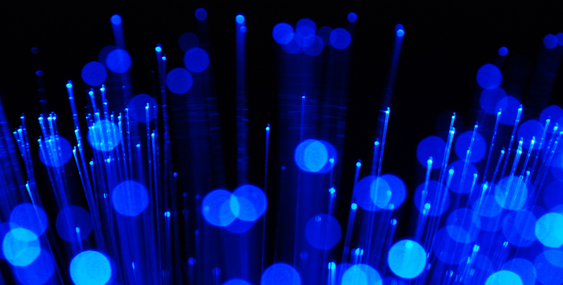 fiber