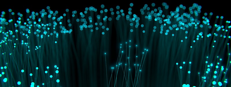 fiber