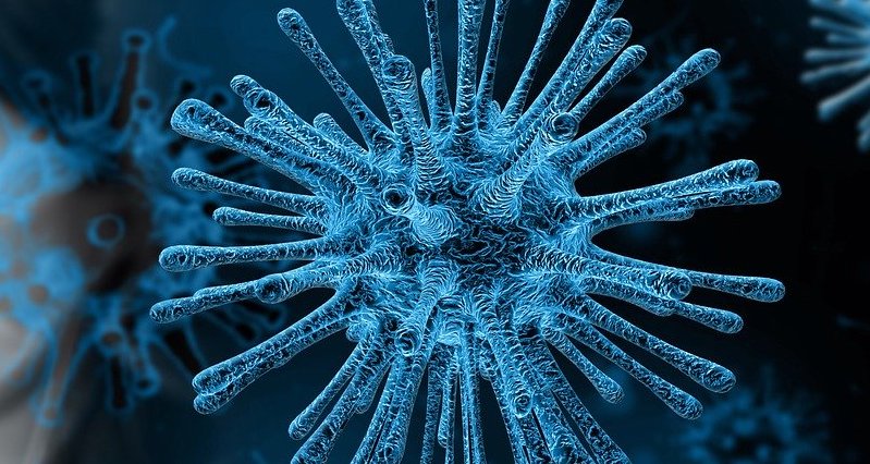 coronavirus