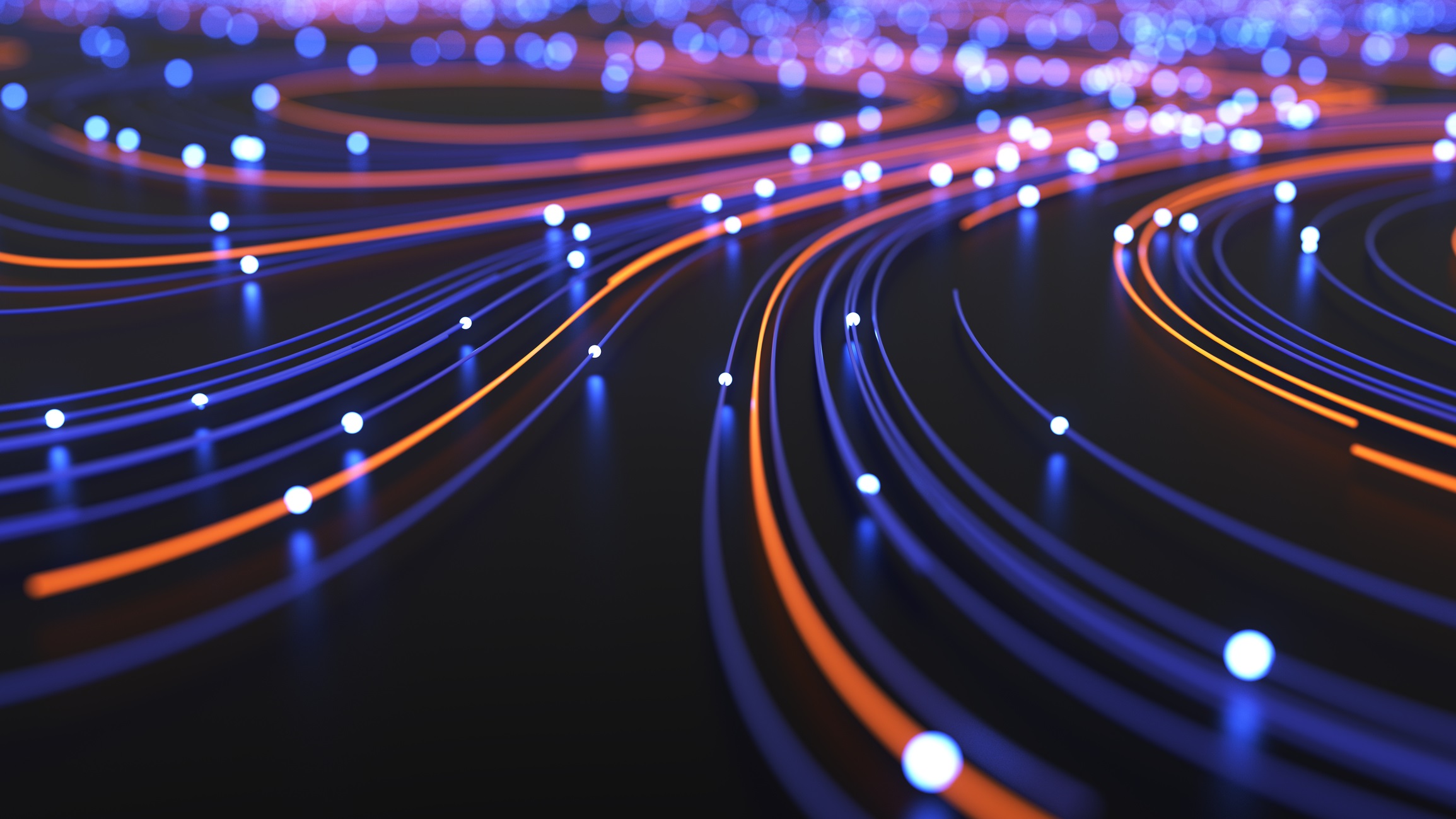optical network
