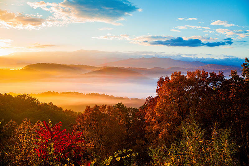 Great Smoky Mountains