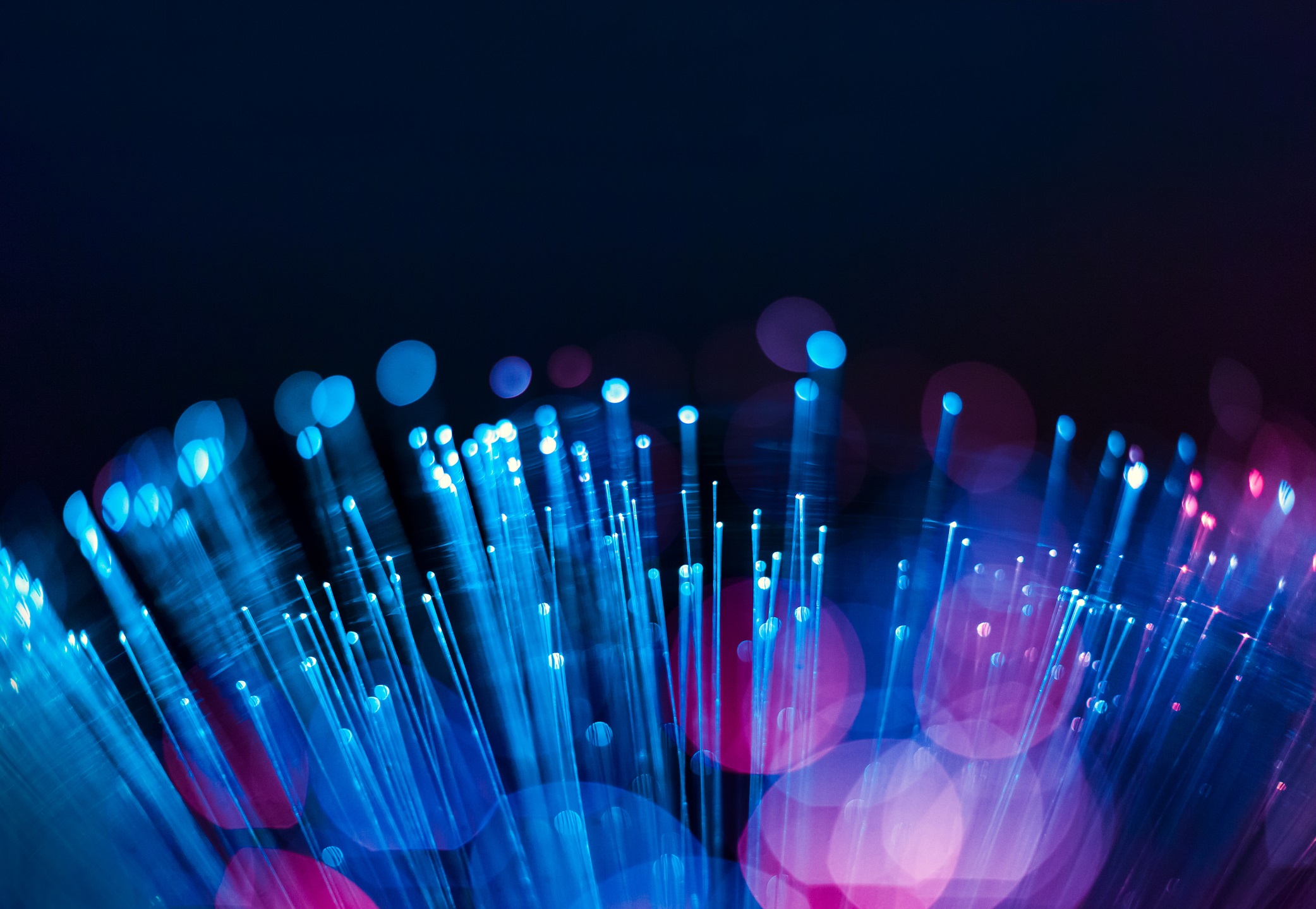 optical network