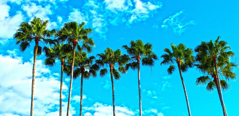Florida