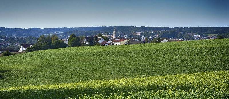 rural