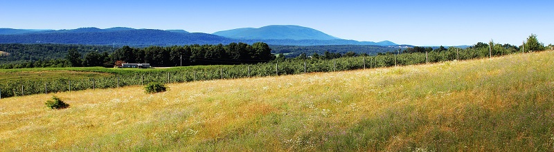 Shenandoah Valley