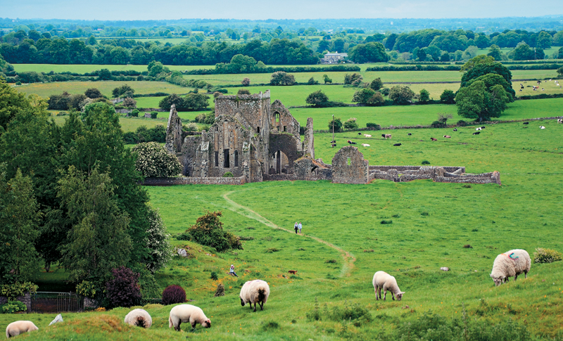 Hore Abbey