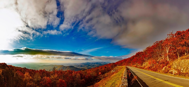  Shenandoah  