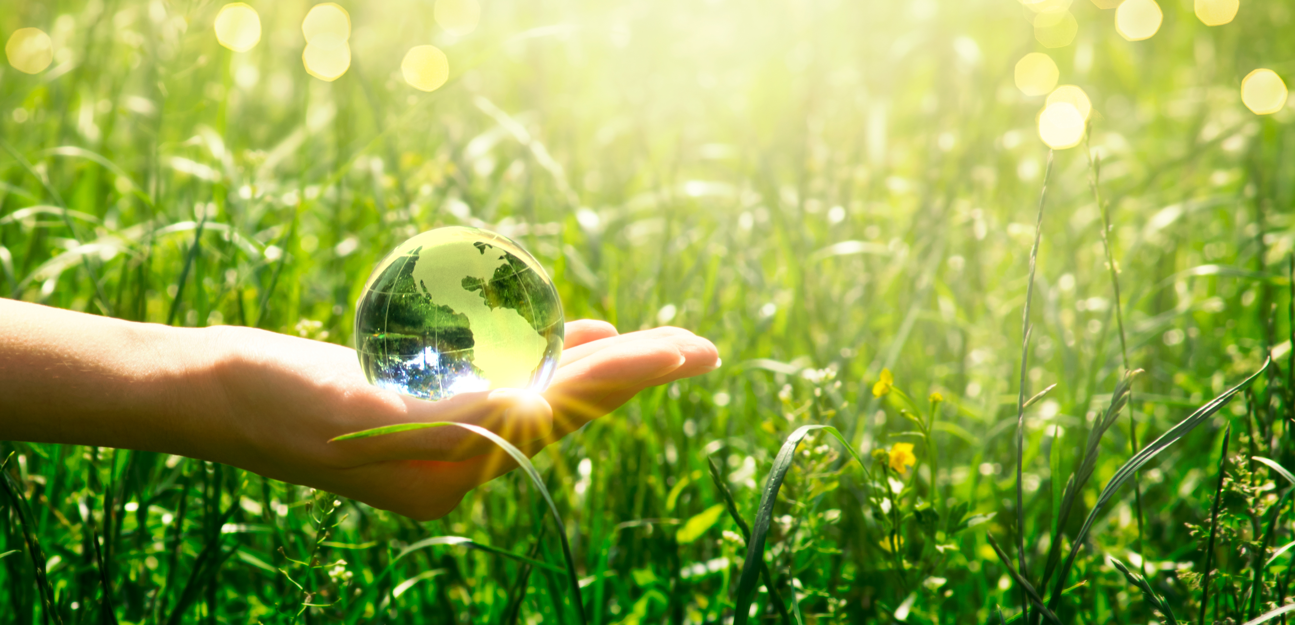 climate change environment 
