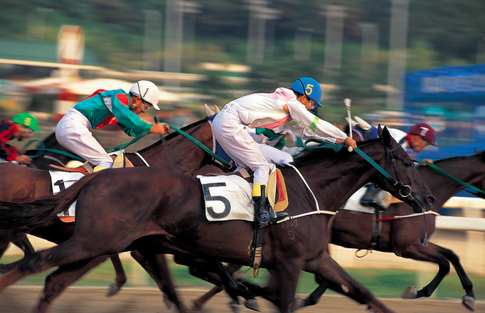 horse race