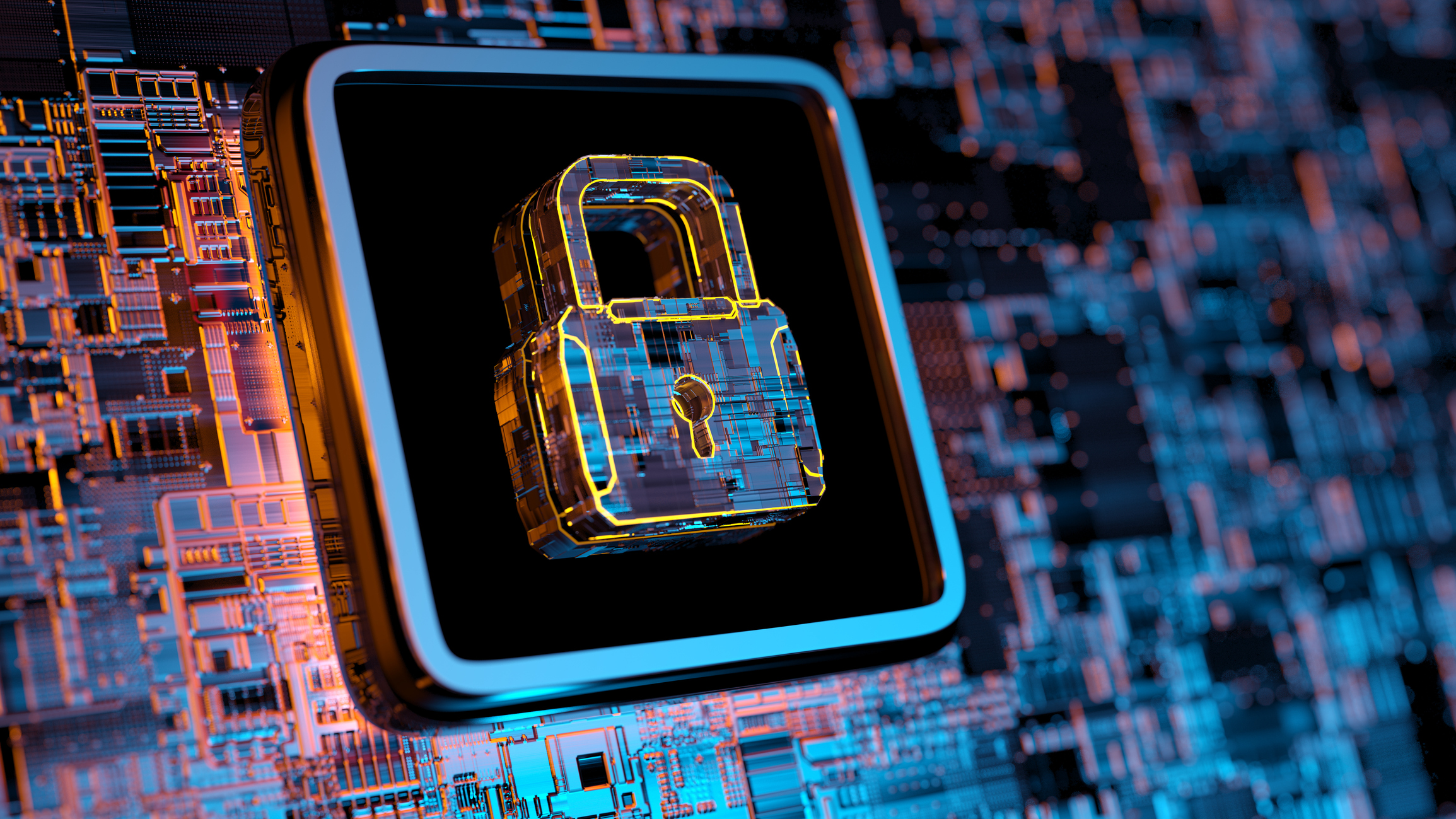 privacy security lock