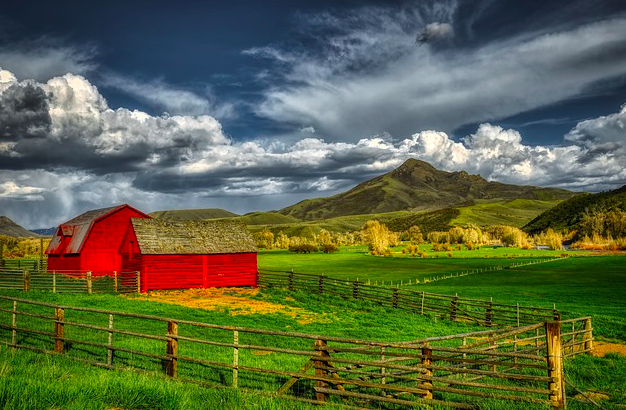 rural
