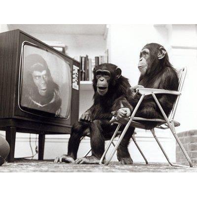 Black and white vintage photo of two chimps sitting in lawn chairs watching "Planet of the Apes" on an old-fashioned console TV.
