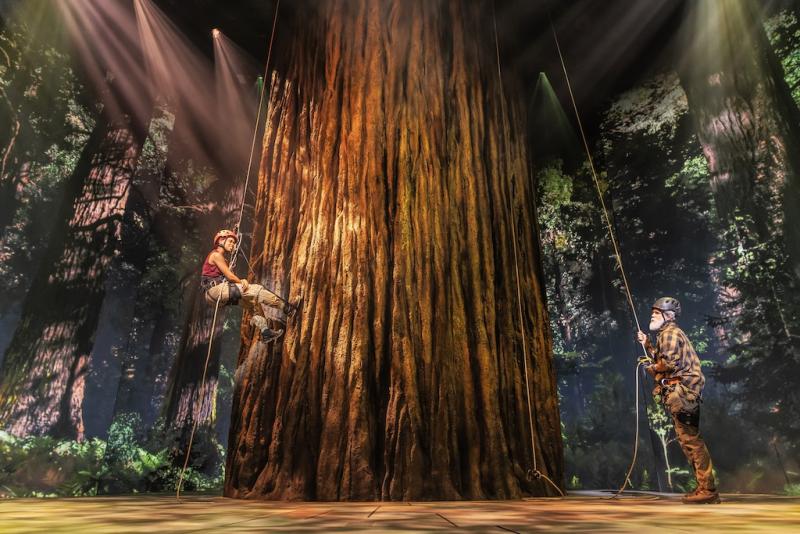 Redwood Production