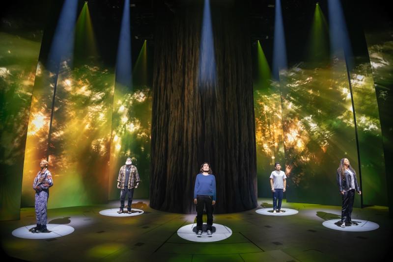 Redwood Production