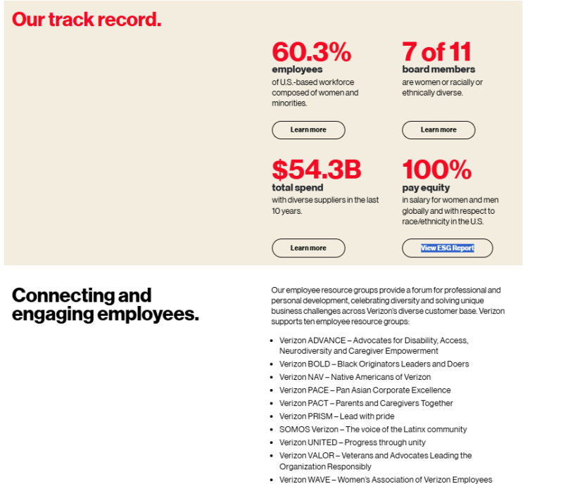 Verizon DEI page