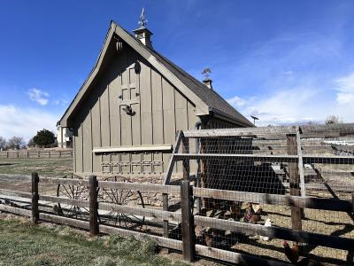 Chris Sharp chicken coop