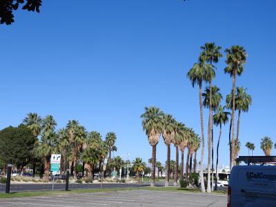 Tarana