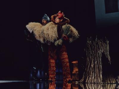 Robin Hood at Schauspielhaus Zürich