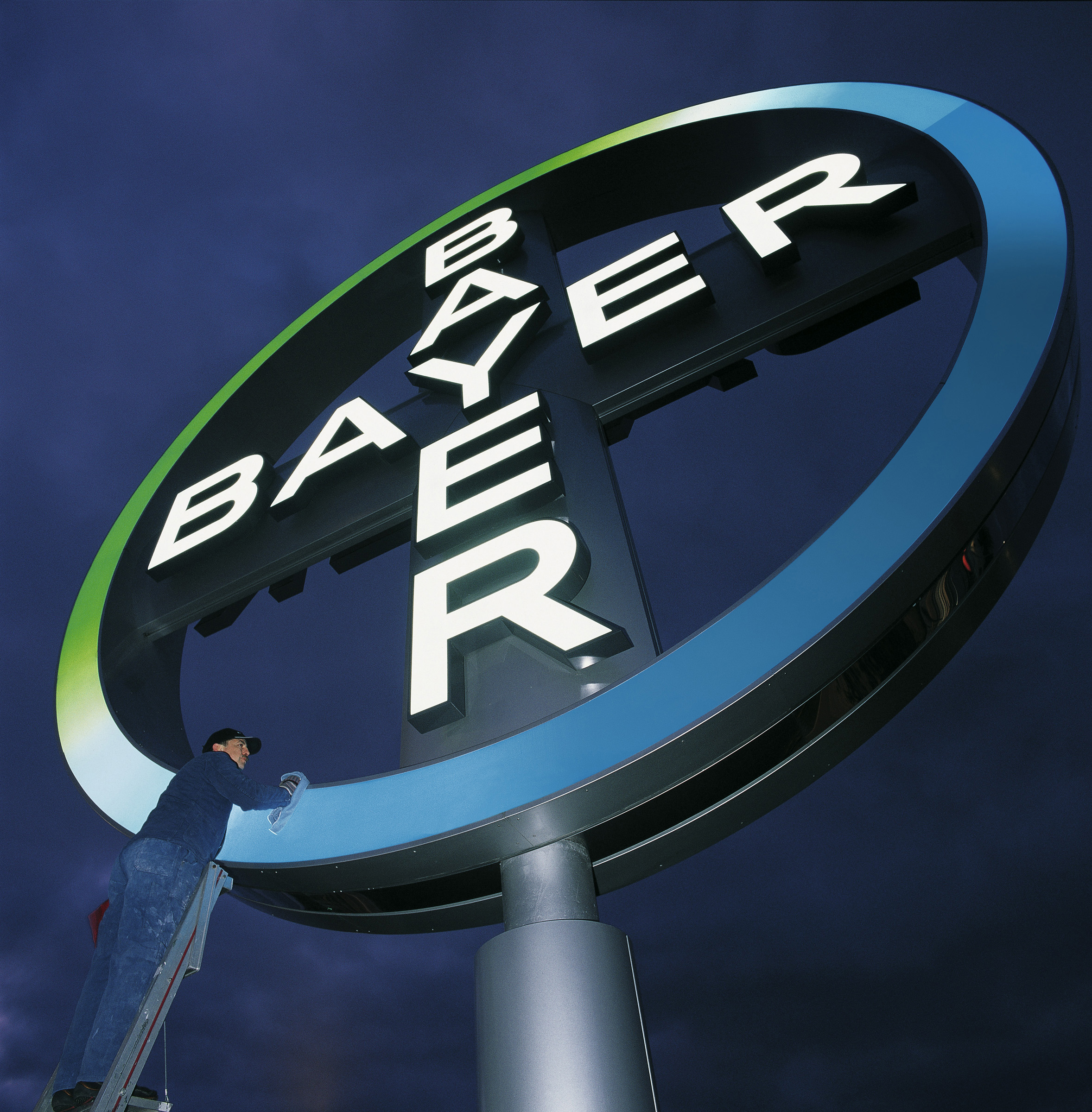 Bayer cross