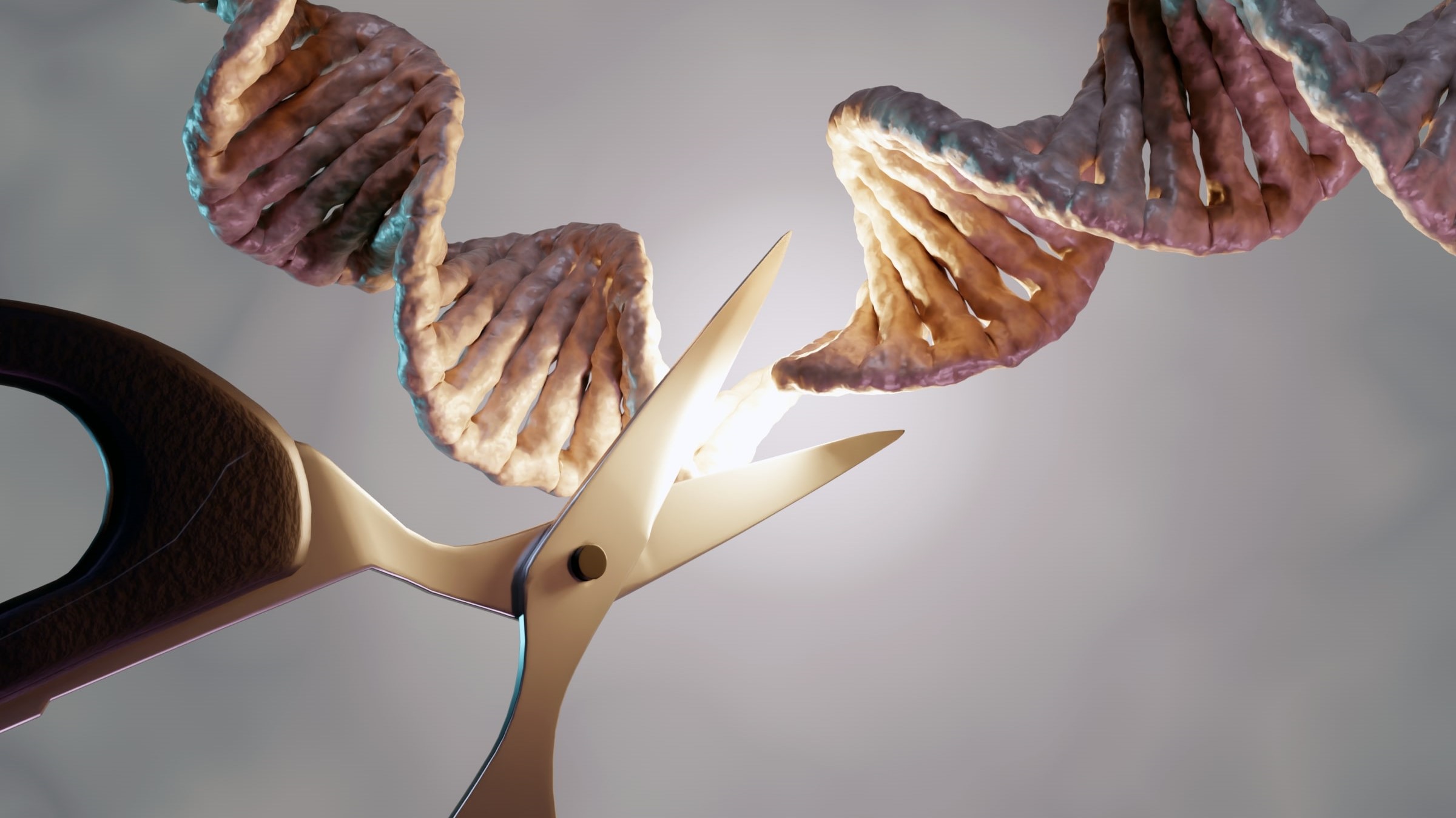 dna cut scissor