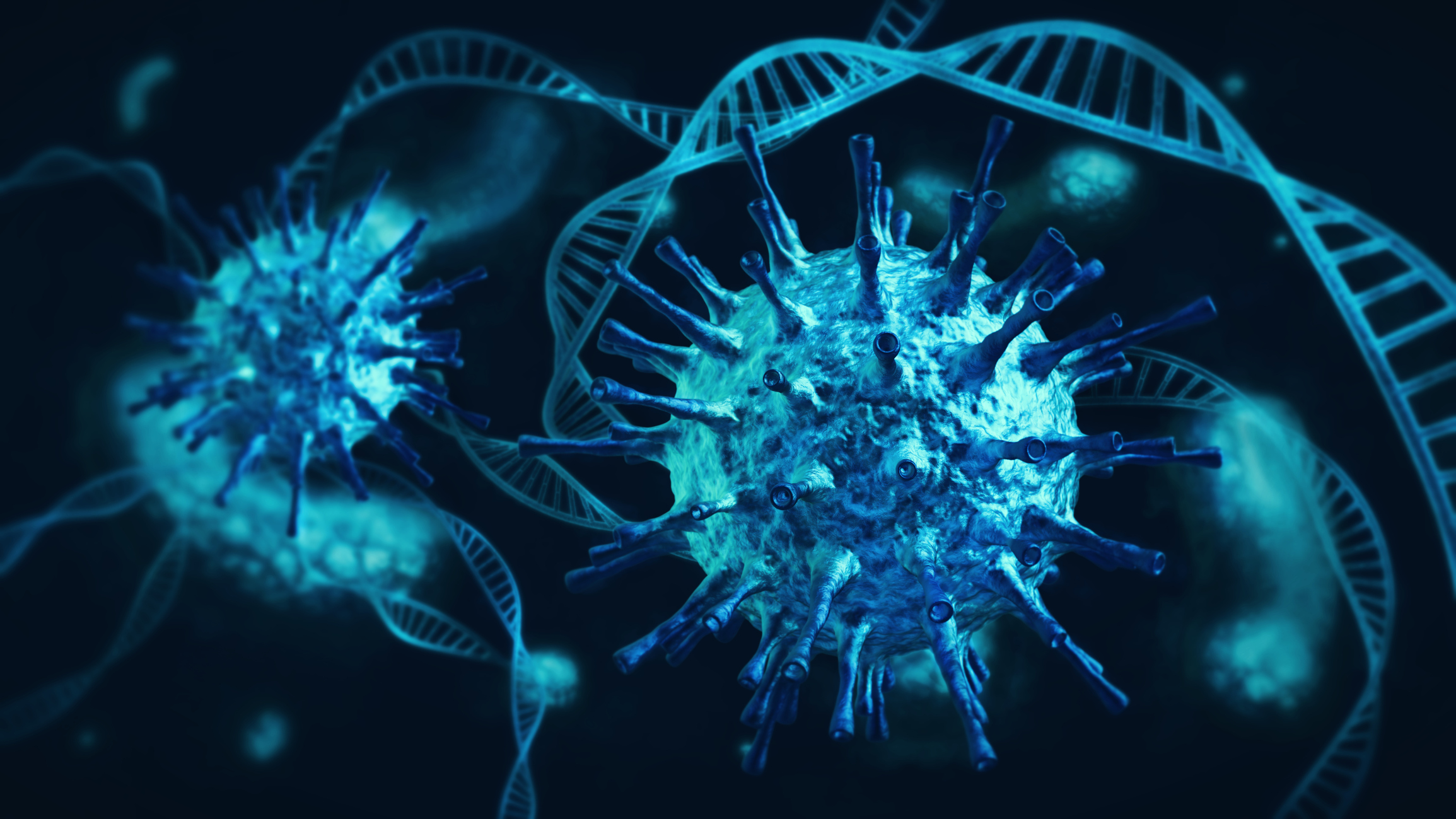 coronavirus 