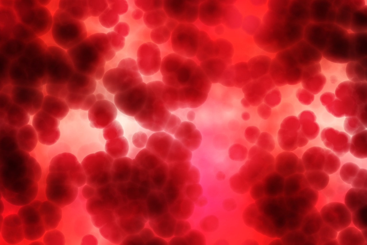 Red blood cells