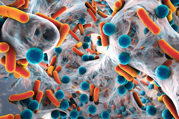 Antibiotic-resistant bacteria