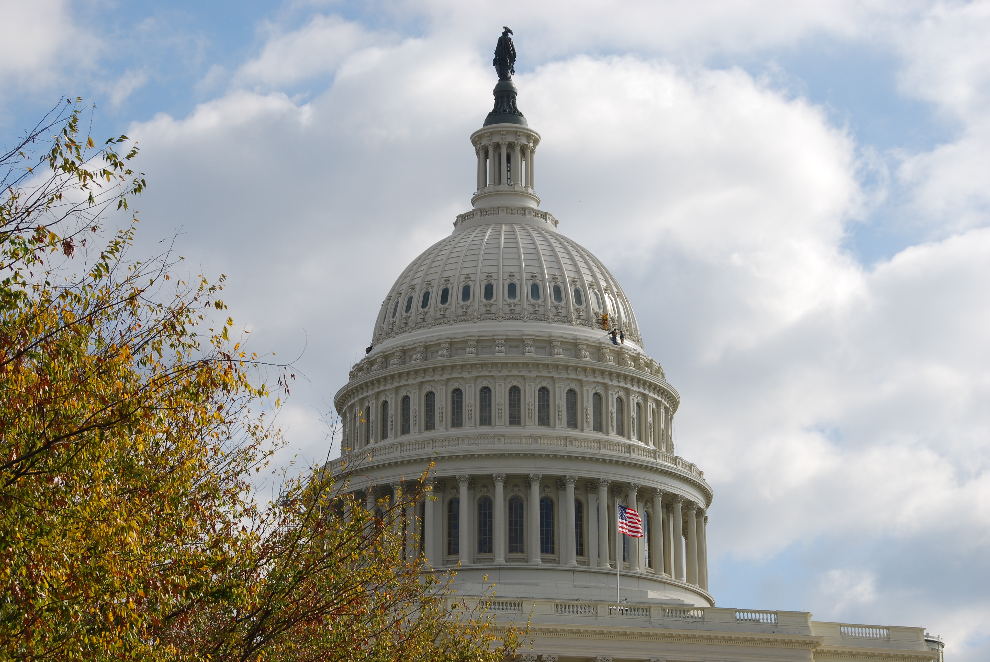 congress
