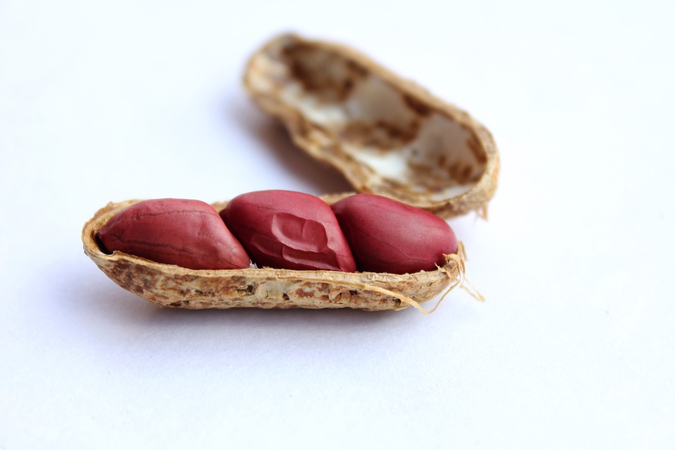 Peanuts in shell