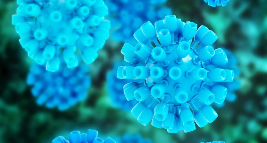 Hepatitis C virus