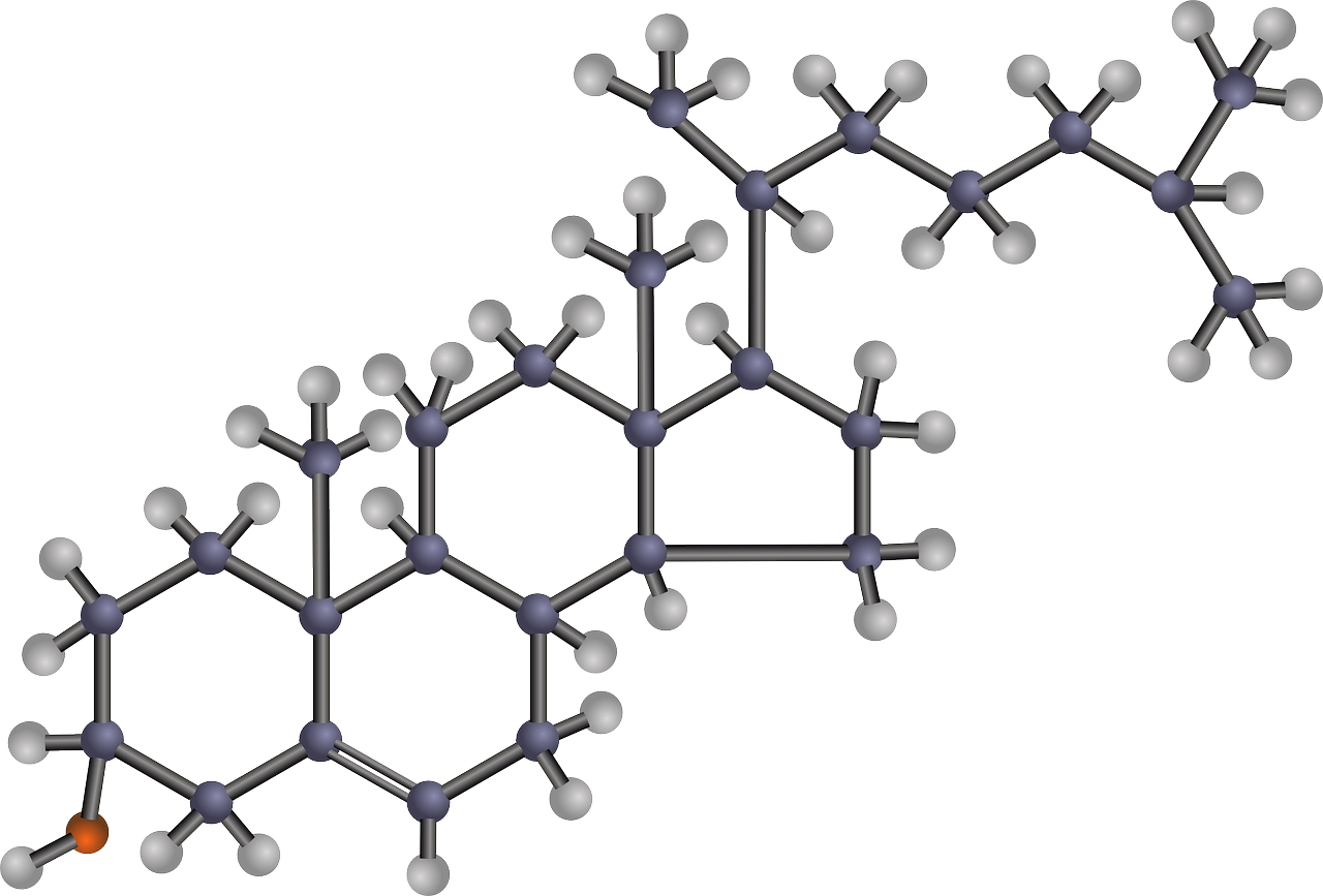 Cholesterol molecule