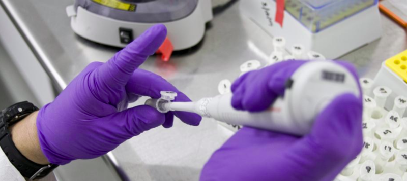 FDA Lab