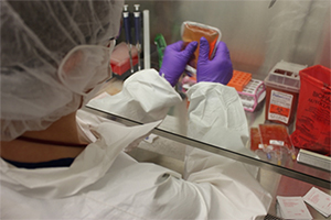 Cell therapy manufacturing 