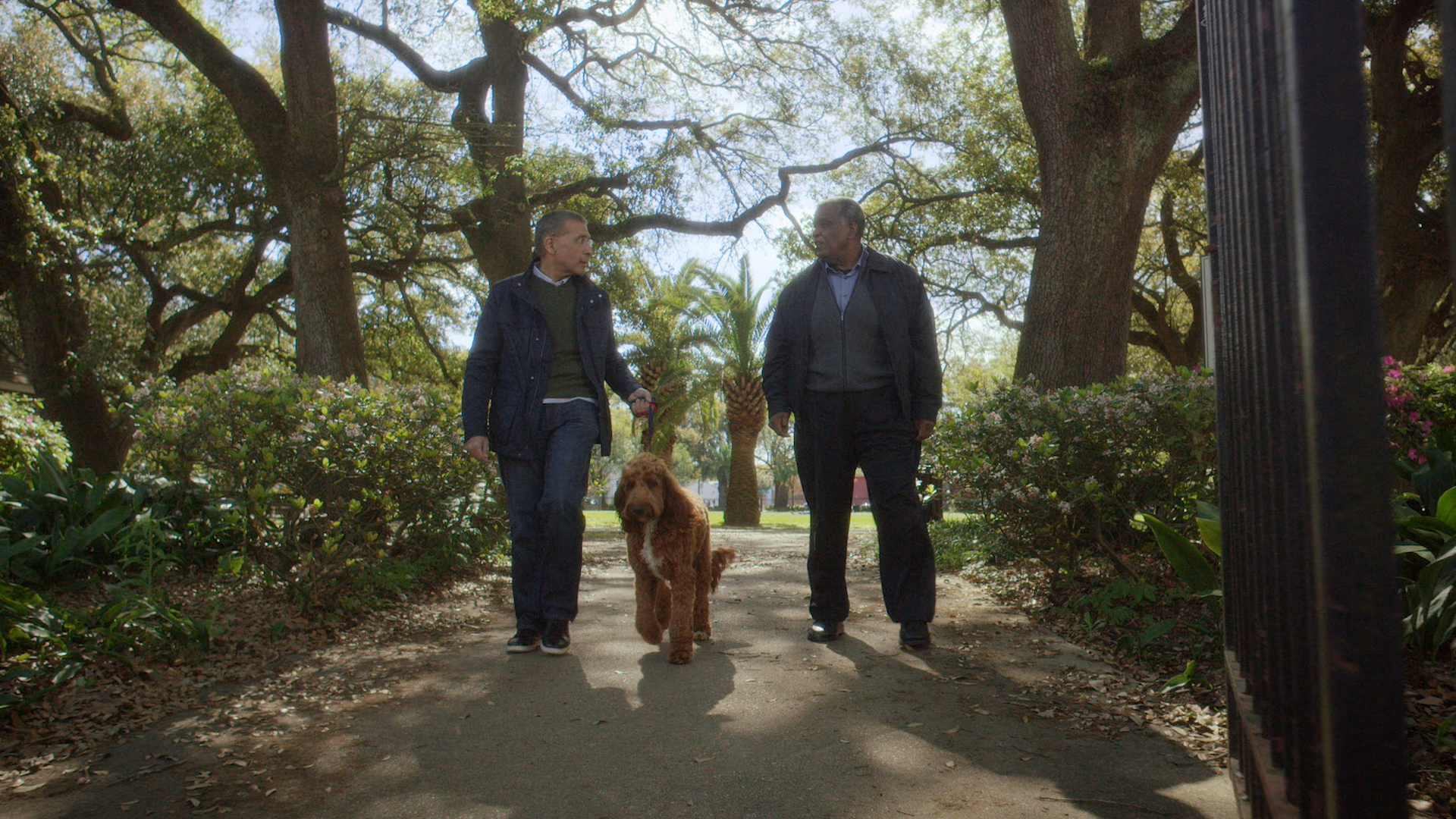 Boehringer Ingelheim and Eli Lilly CV and diabetes awareness video still