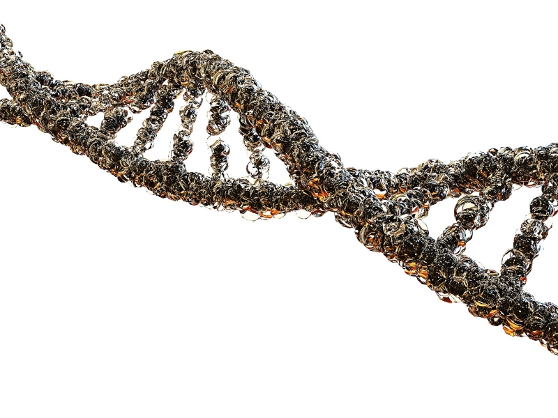 DNA