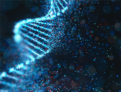Plasmid DNA Survey